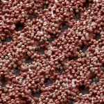 Alumiiniumprofiili servaga trepimoodul